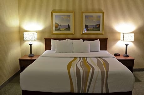 1 King Bed Suite Non-Smoking