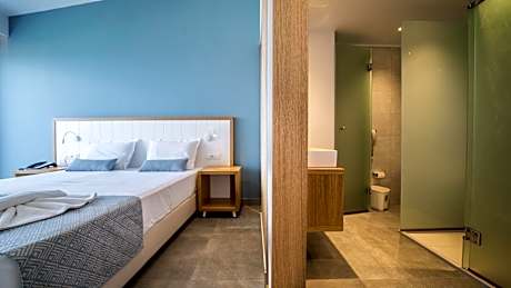 Superior Double or Twin Room with Garden View