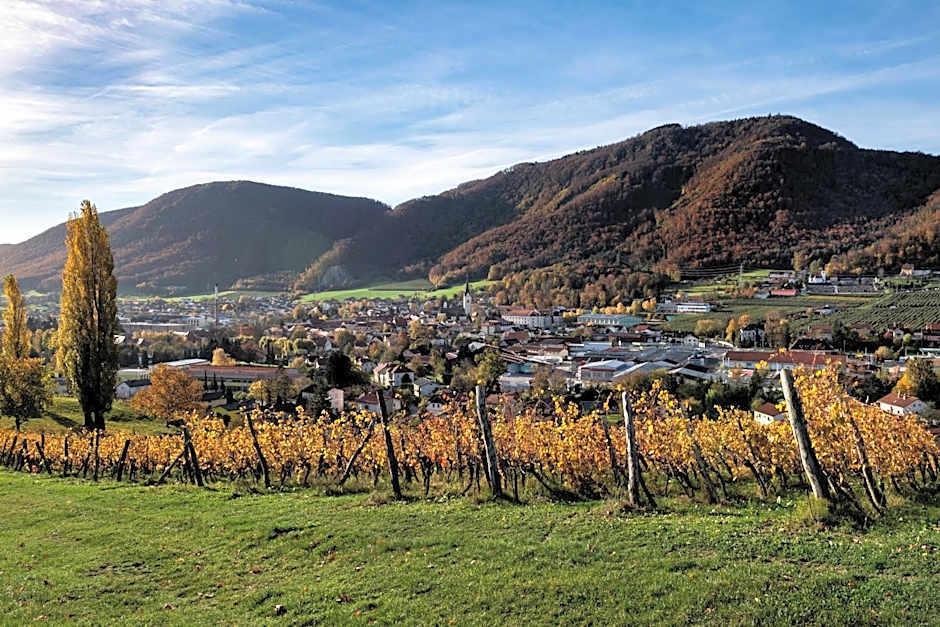 Dvorec Trebnik - SOBE