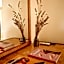 Bed & Breakfast Spigolatrice
