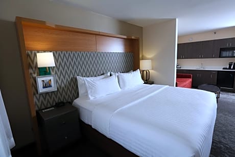 1 King Bed Suite