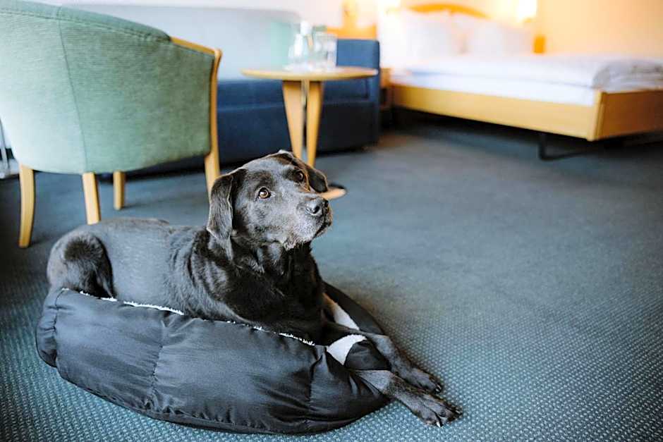 Hotel Perren Superior