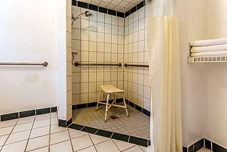 King Room - Disability Access - Non-Smoking