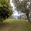 Villa Degli Ulivi B&B