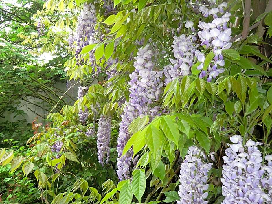 Hotel Altes Brauhaus