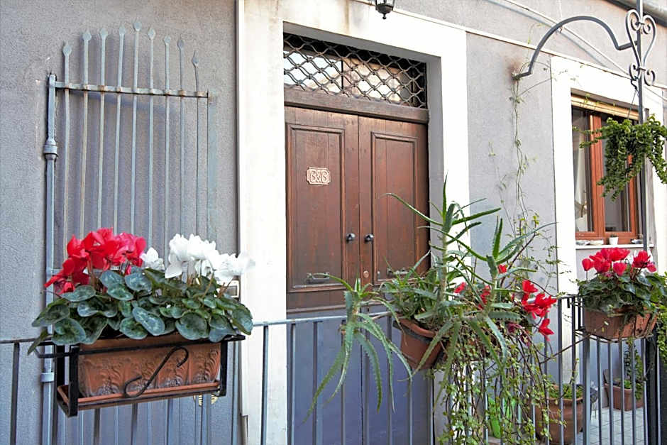 Cataneasy Rooms