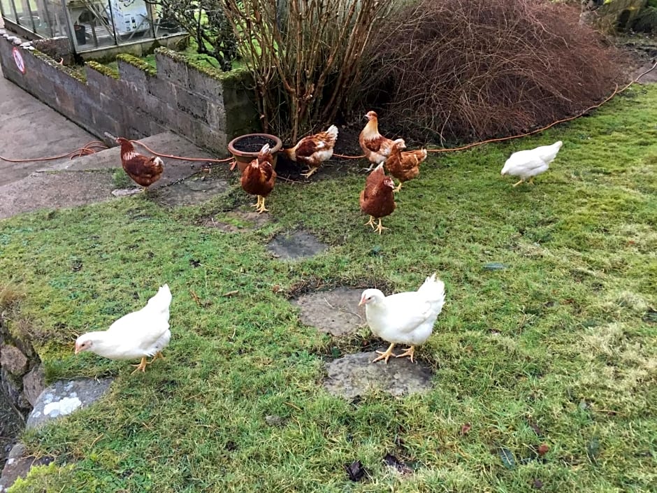 The Sheiling B&B - NC 500