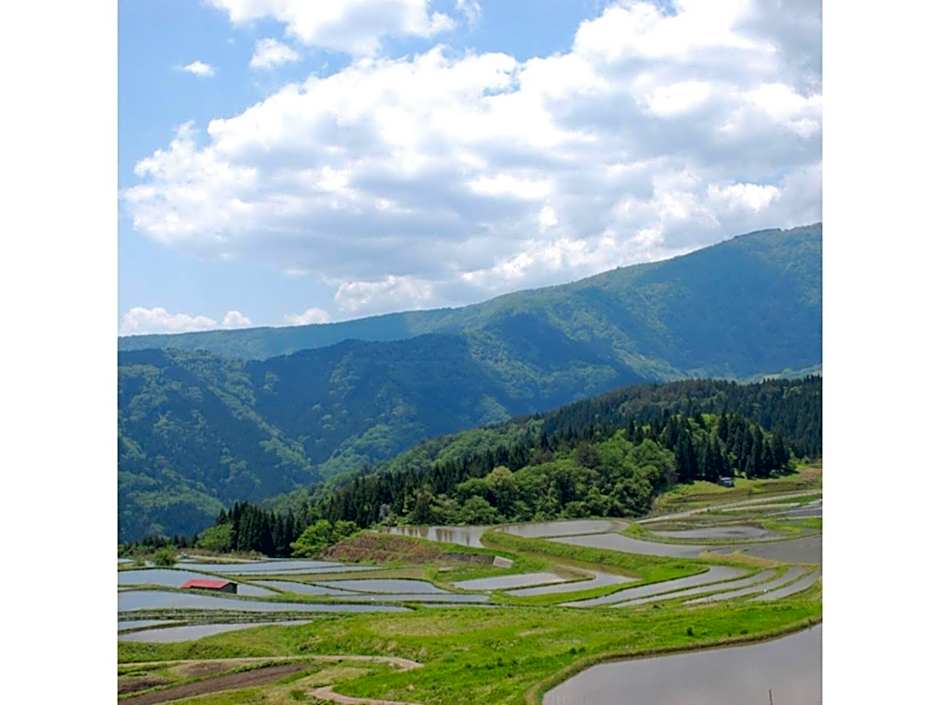 Pure Hotel - Vacation STAY 44187v