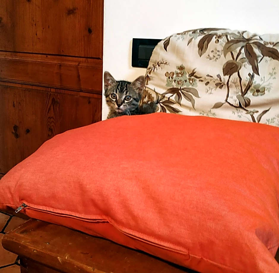 B&B "La Pieve" - Locanda per Viandanti