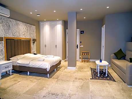 Deluxe Room with Daybed