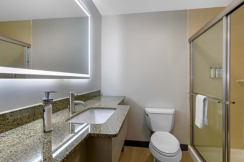Holiday Inn Express Hotel & Suites Clemson - University Area By IHG