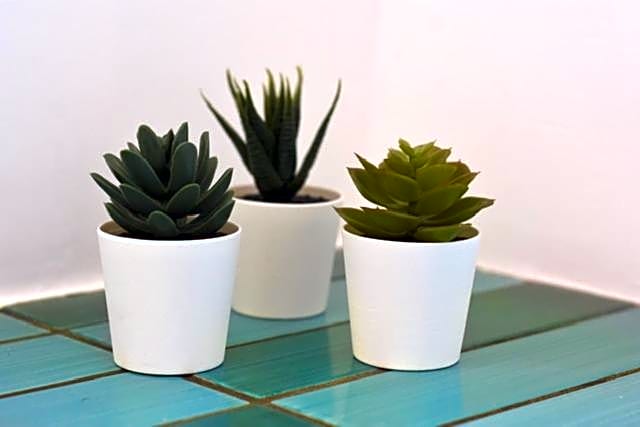 Ninina Boutique Suites