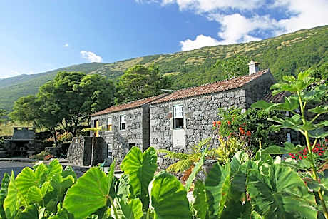 Adegas do Pico