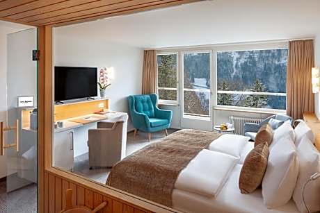 Deluxe Double Room with Sauna