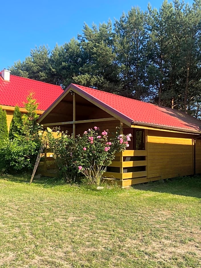 Domki nad morzem - Wisełka