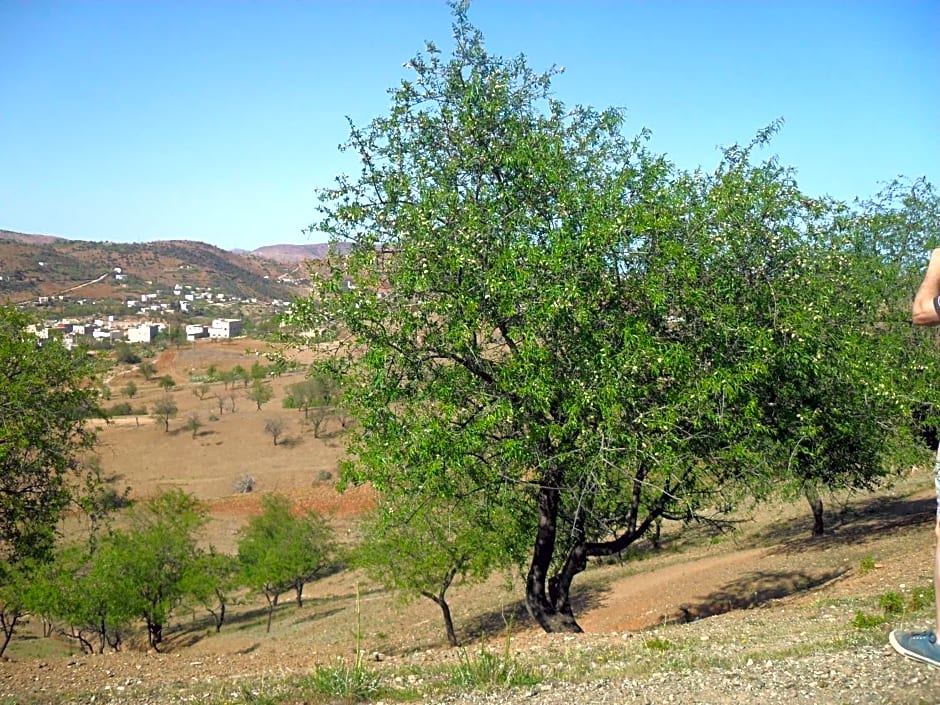 MAISON D’HÔTE LES TORTUES -