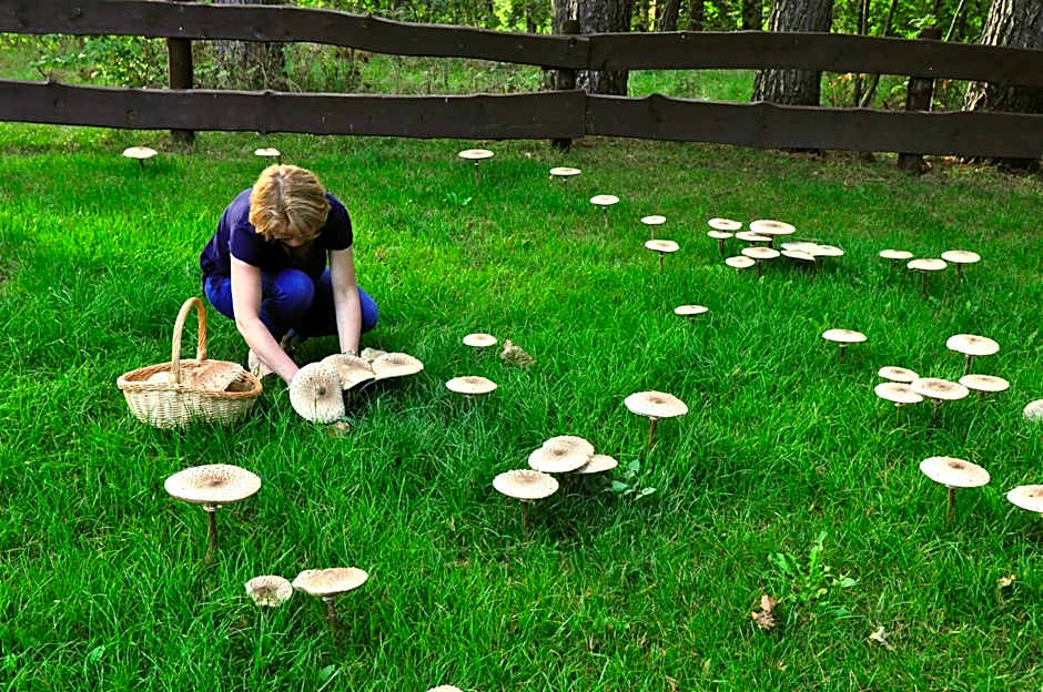 Osada Grzybowski Młyn