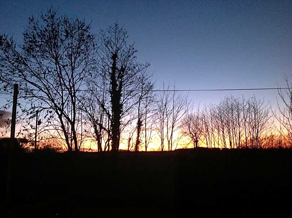 Midtown Farm Bed & Breakfast