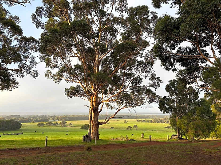 Augusta Sheoak Chalets