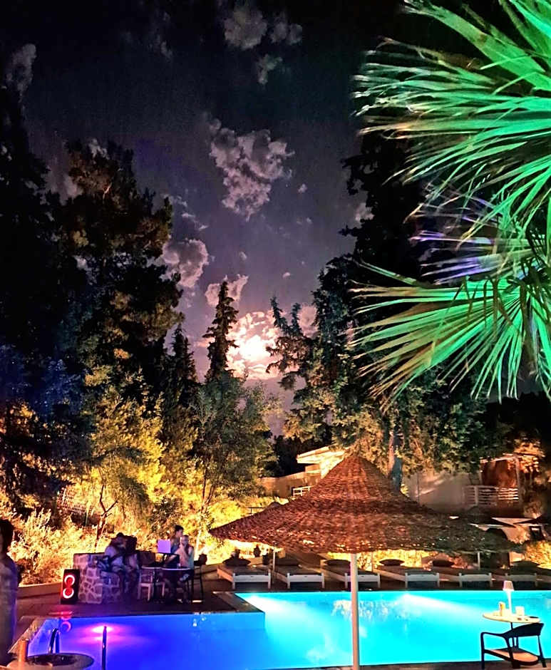 Trees Art Hotel & Suites