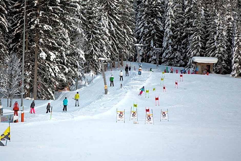 Dorf-Chalets Filzmoos mit Sauna