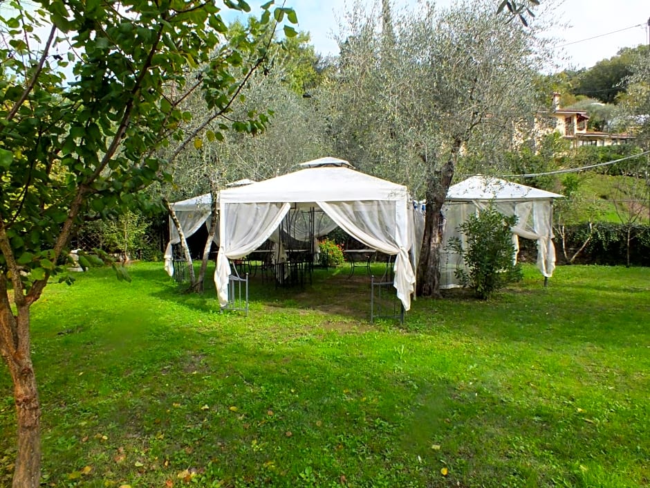 Gli Ulivi Bed & breakfast