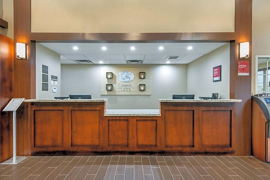 Comfort Suites Downtown