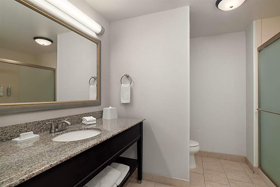 Hampton Inn By Hilton And Suites Baton Rouge