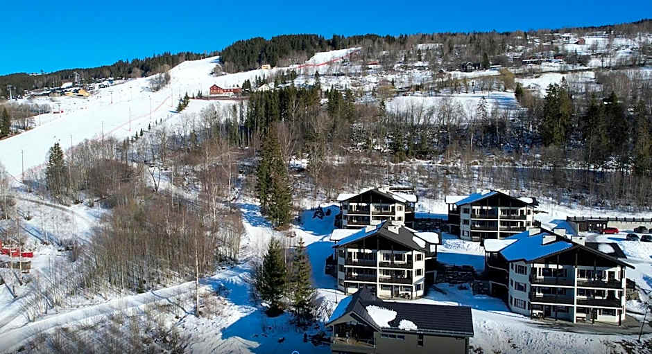 Alpin Apartments Sørlia