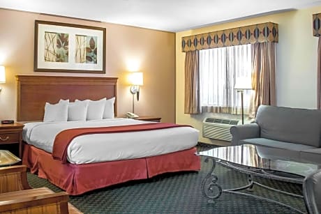 1 King Bed, Suite, Nonsmoking