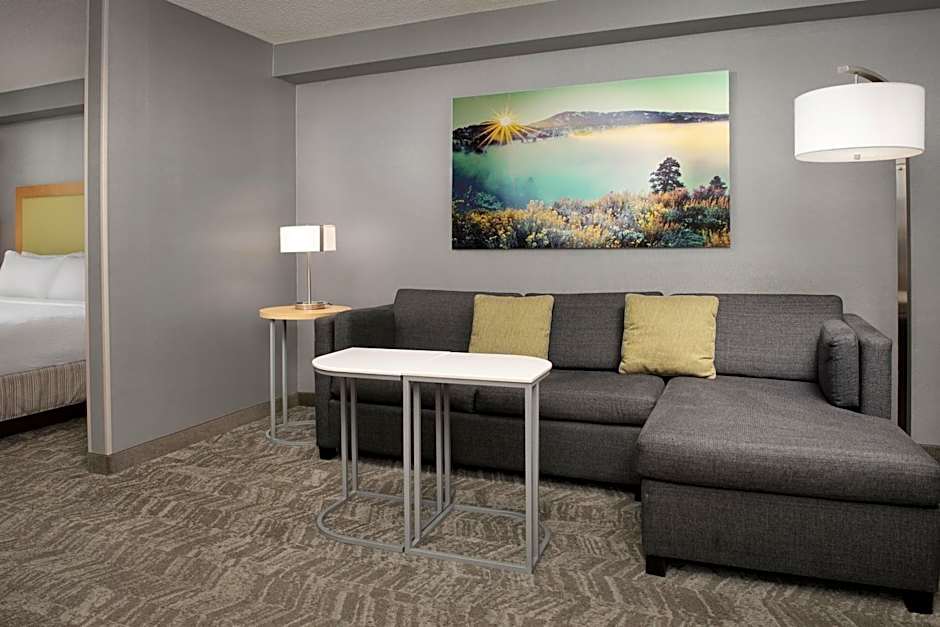 SpringHill Suites by Marriott Boise ParkCenter