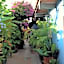 Hotel Las Golondrinas