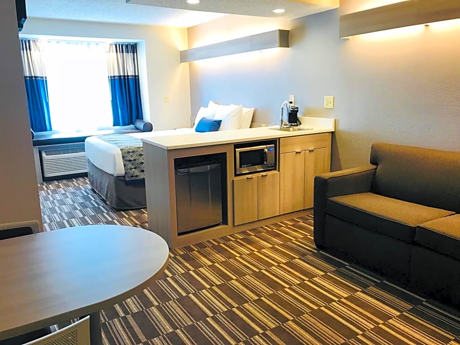 Microtel Inn & Suites by Wyndham Atlanta Buckhead Area