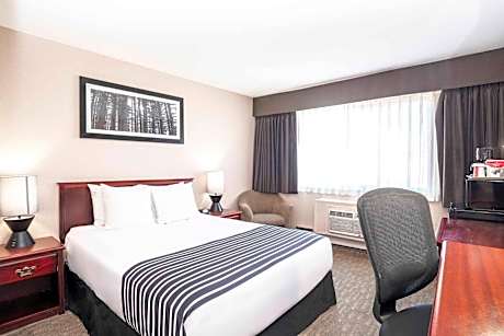 Standard Room, 1 Queen Bed