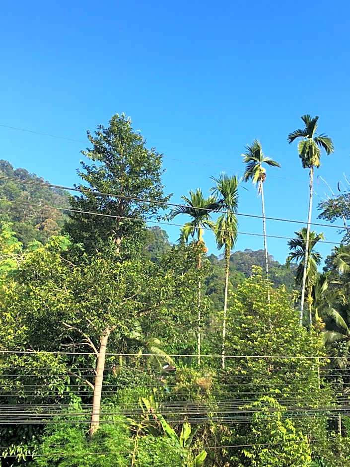 Khaosok Secret Hostel