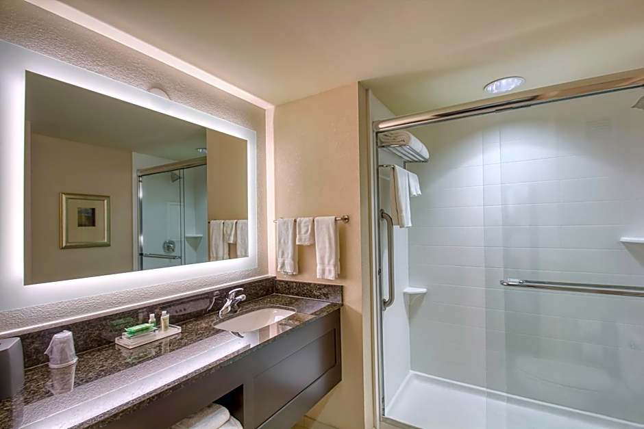 Holiday Inn & Suites Atlanta Airport North By IHG