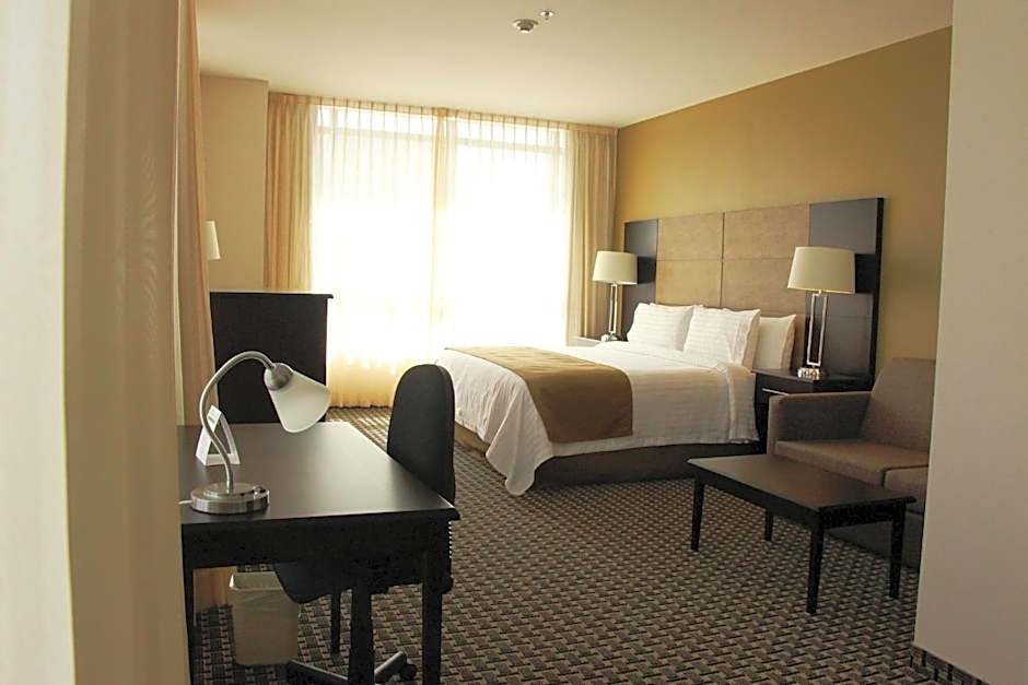 Holiday Inn Mexico Santa Fe By IHG