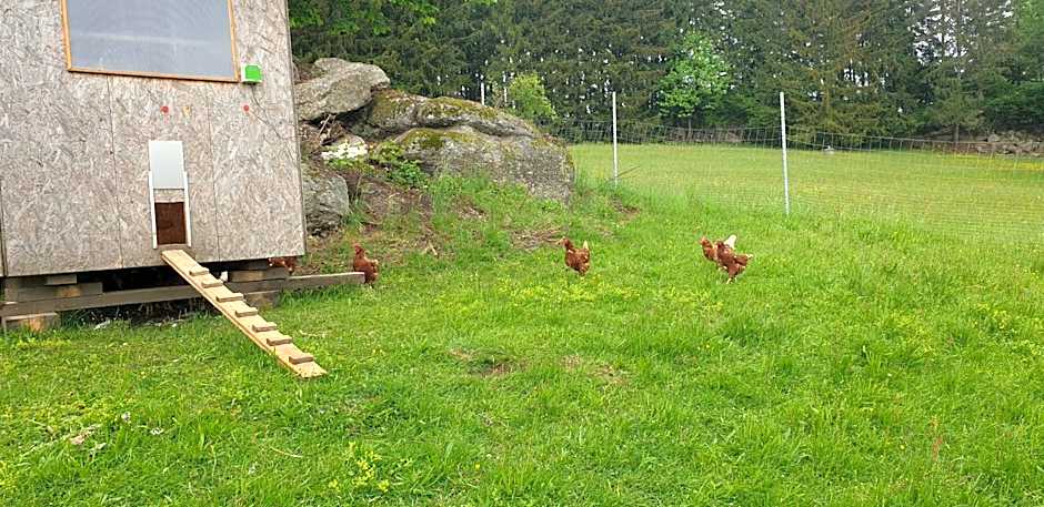 Biohof Obereibensteiner