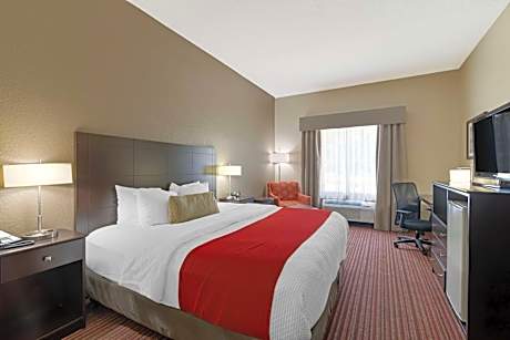 King Room with Roll-In Shower - Mobility Access