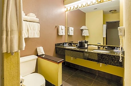 Standard Double Suite - Non-Smoking