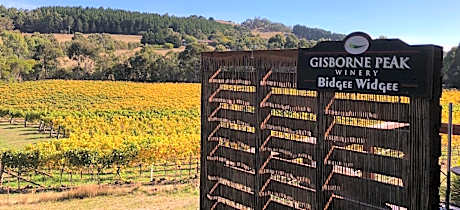 Gisborne Peak Winery Short Term Stays