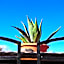 Helicon Muses Friendly Mountain B&B Guesthouse