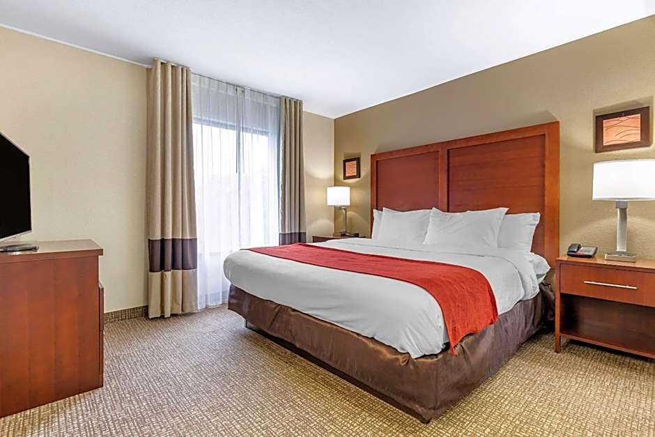 Comfort Inn & Suites Clemson - University Area 
