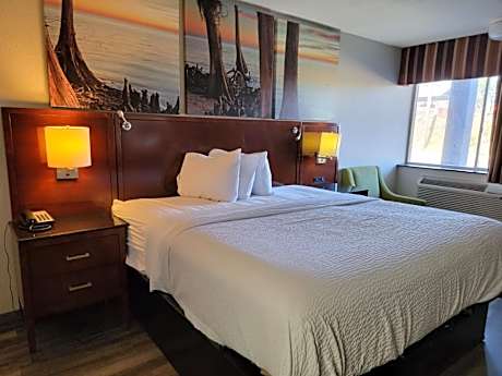 King Room with Mobility Accessible Bath Tub with Grab Bars - Non-Smoking