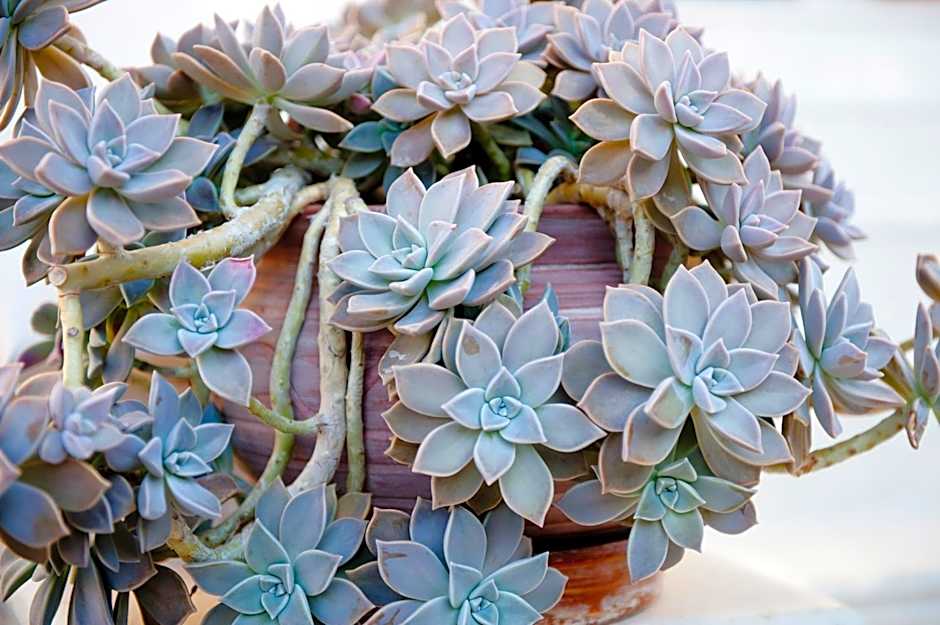 Georgio Seaside Hotel