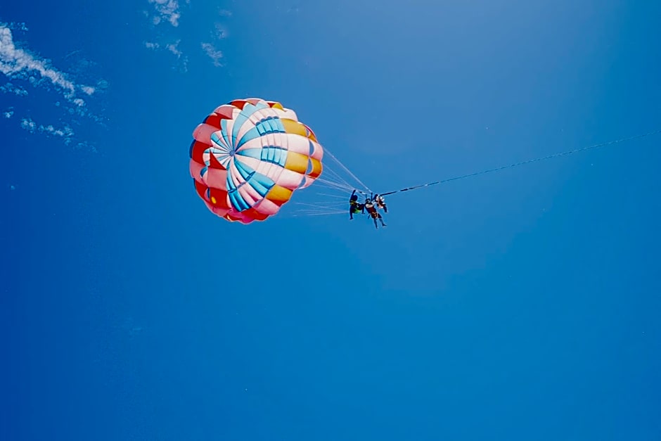 BearPacker Patong Hostel