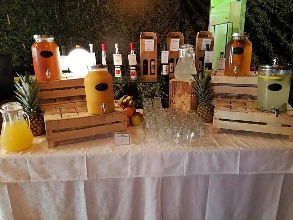 Hotel Vinotel Gospoja