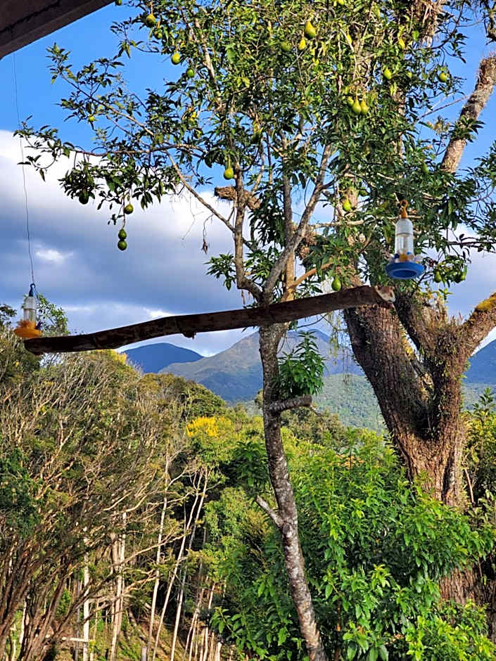 IVOS Hostel & Camping