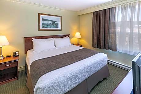 1 King Bed, Suite, Smoking