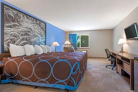 1 King Bed Non-Smoking